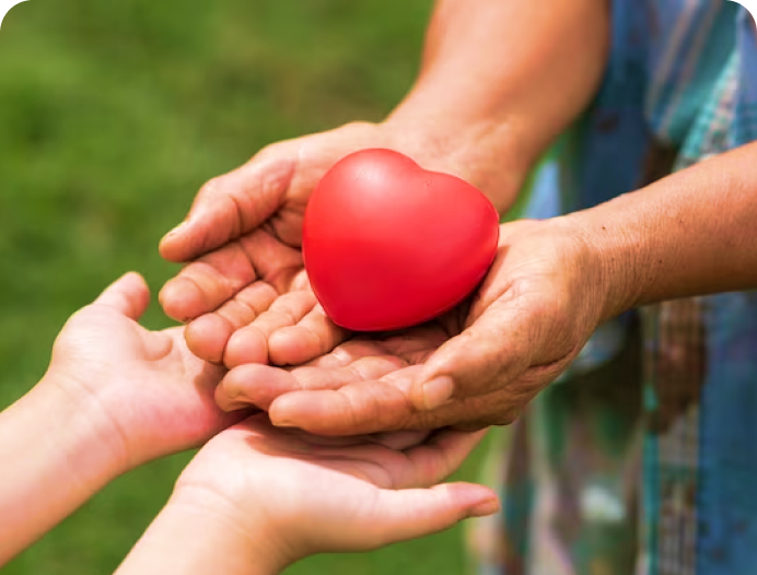 Aylık Düzenli Bağış