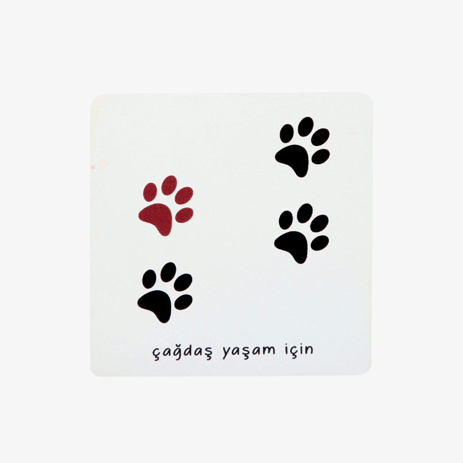 Bardak Altı Pati Kedi-Köpek