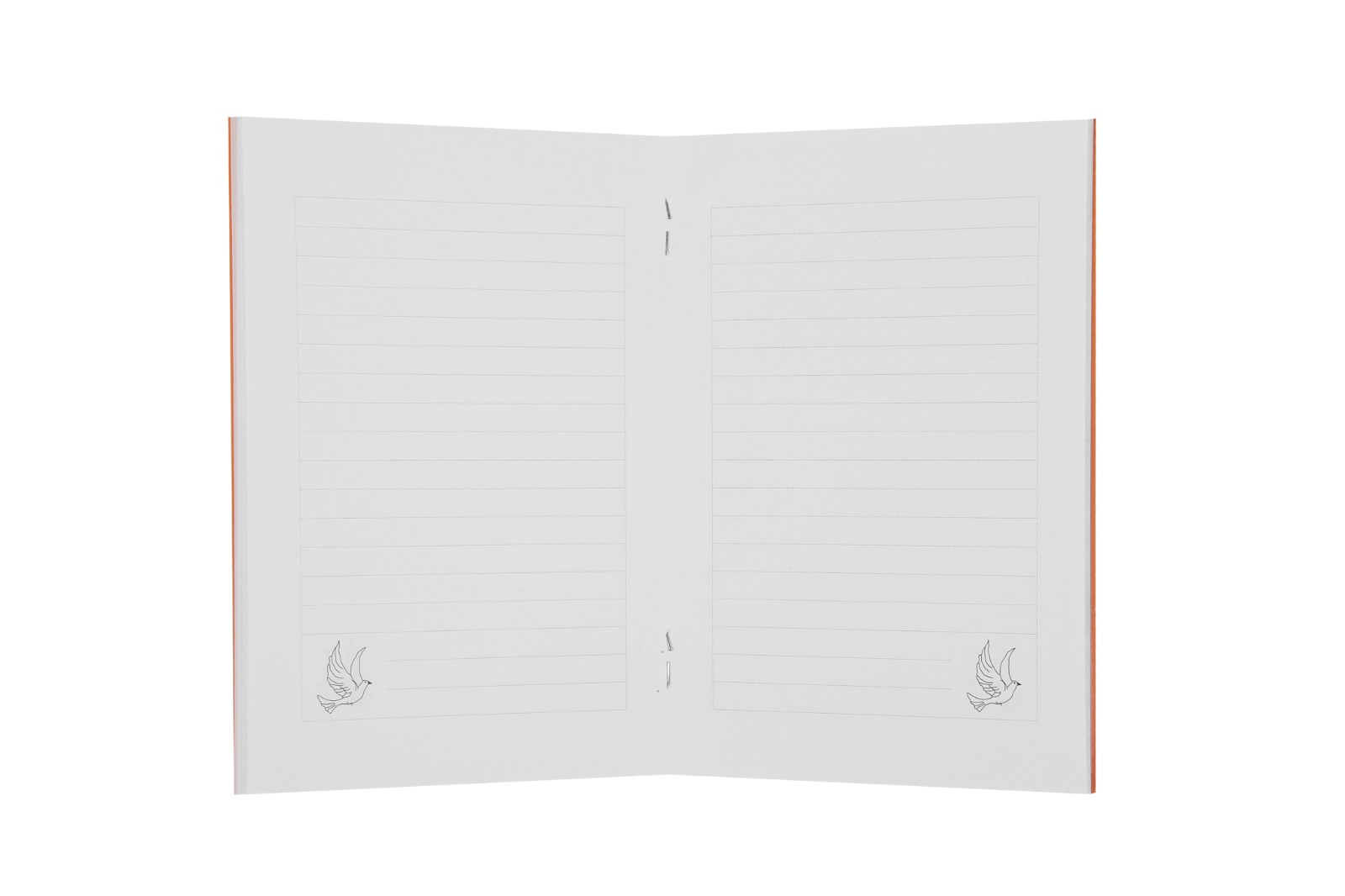 Defter ÇYDD Çocuk Nehir K., 11 yaş