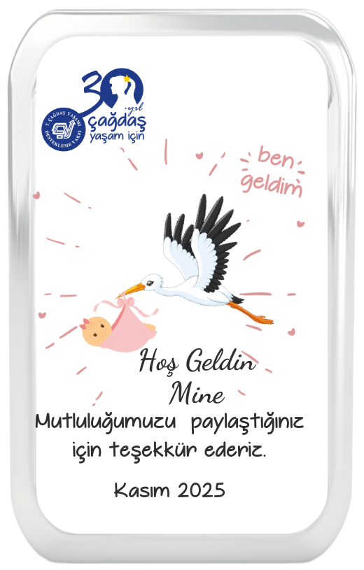 Magnet Leylekli Fiyonklu Plexi Çerçeve Kız Çocuk